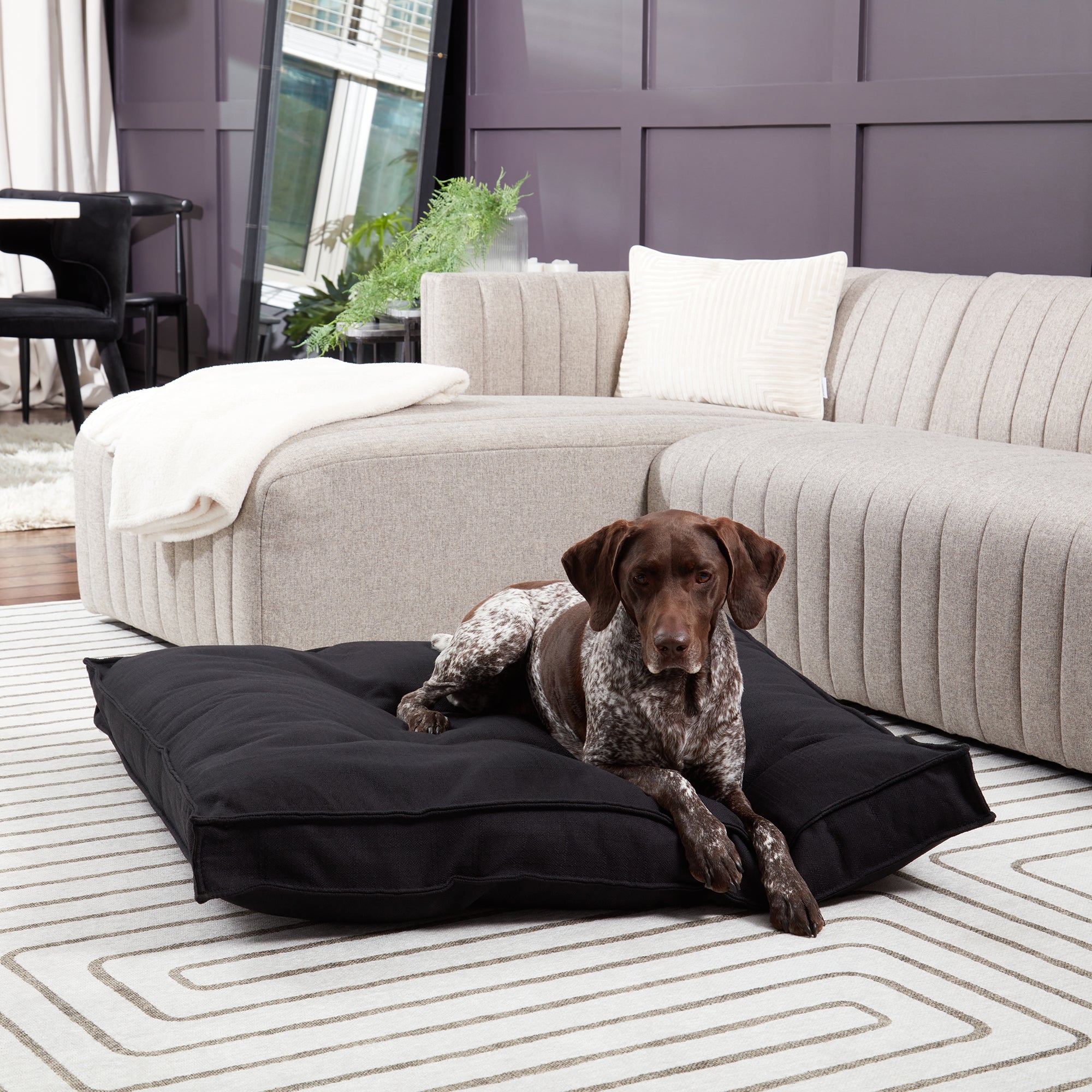 Milo Square Tufted Dog Bed