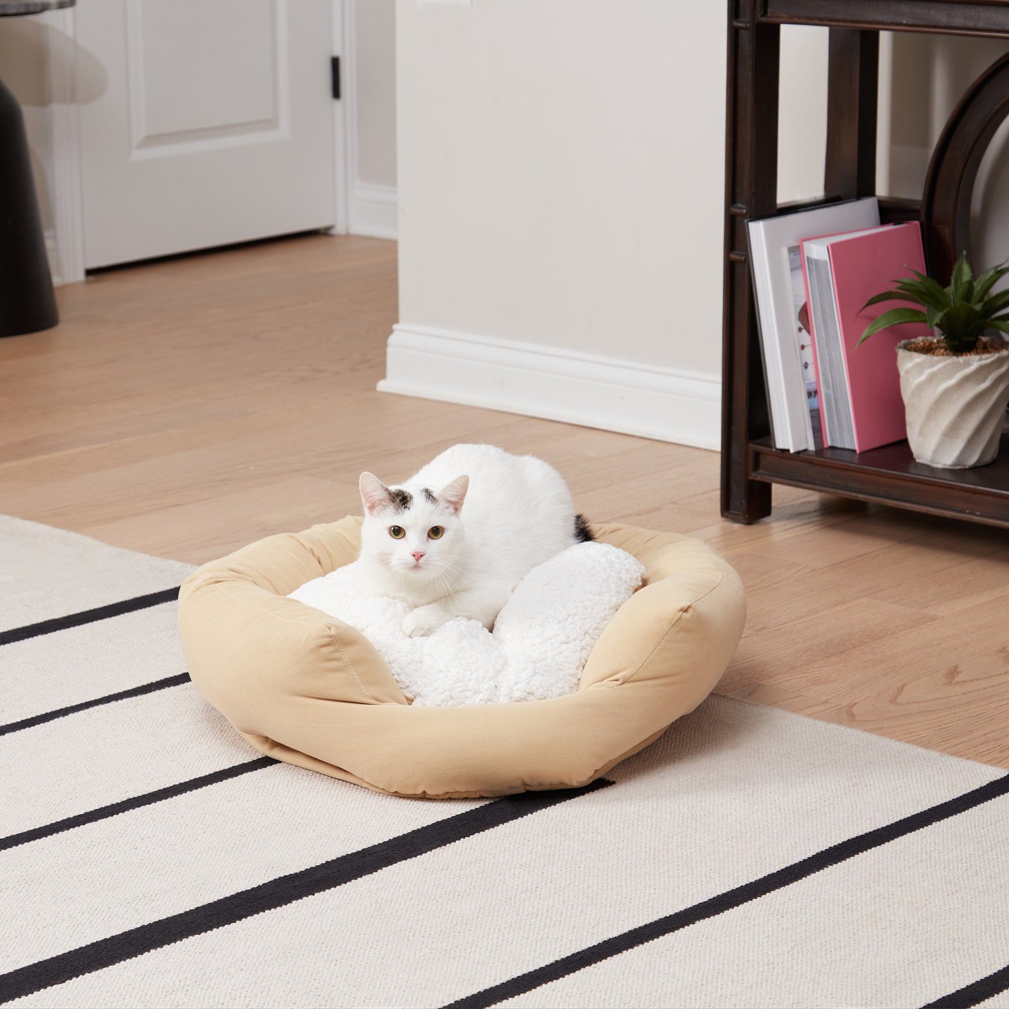 Cat sales pillow bed