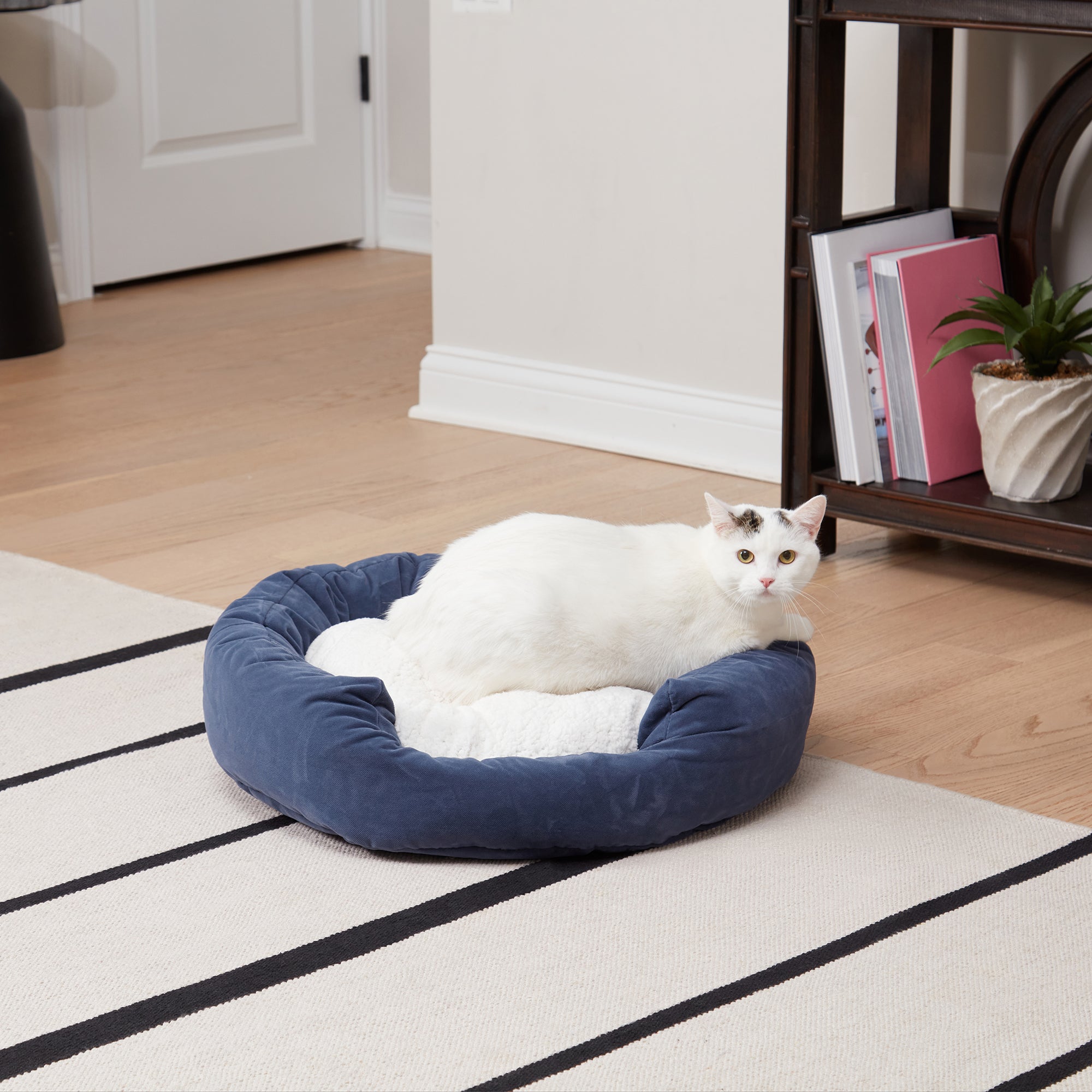 Denim cat outlet bed