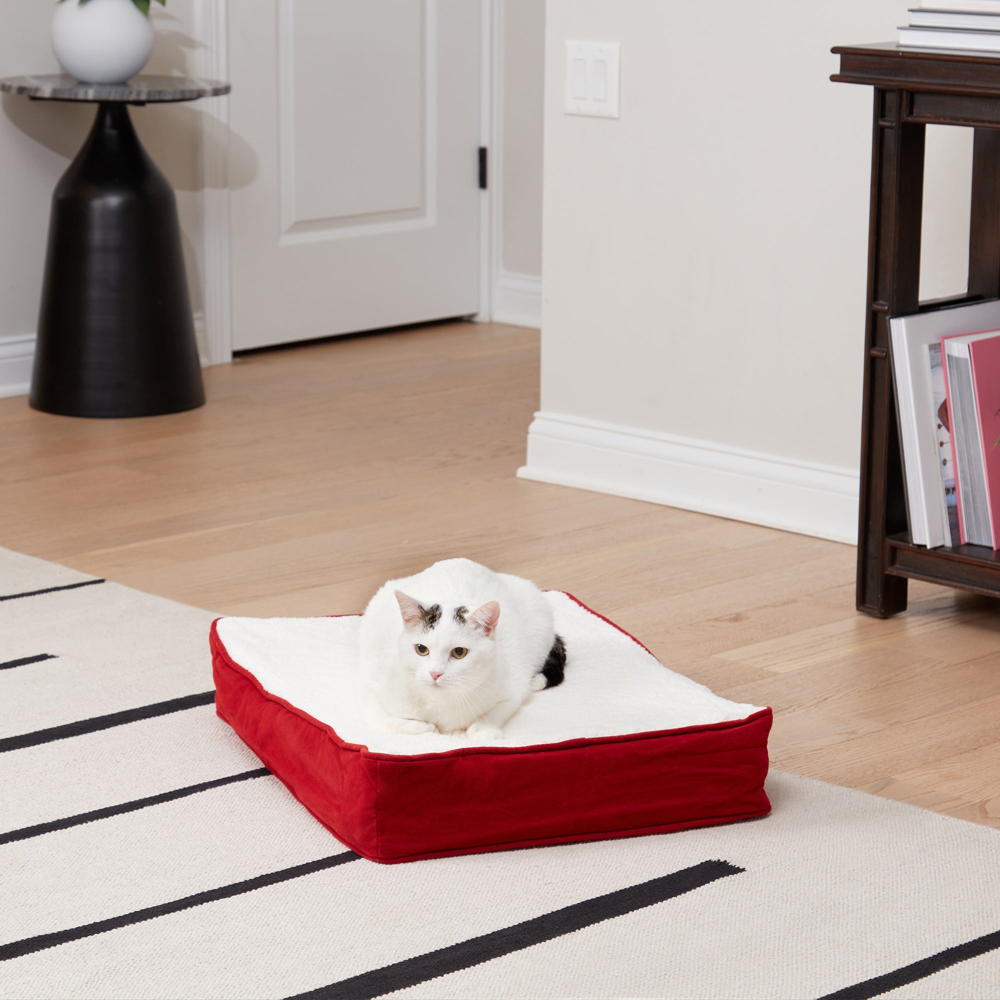 Orthopedic cat outlet bed