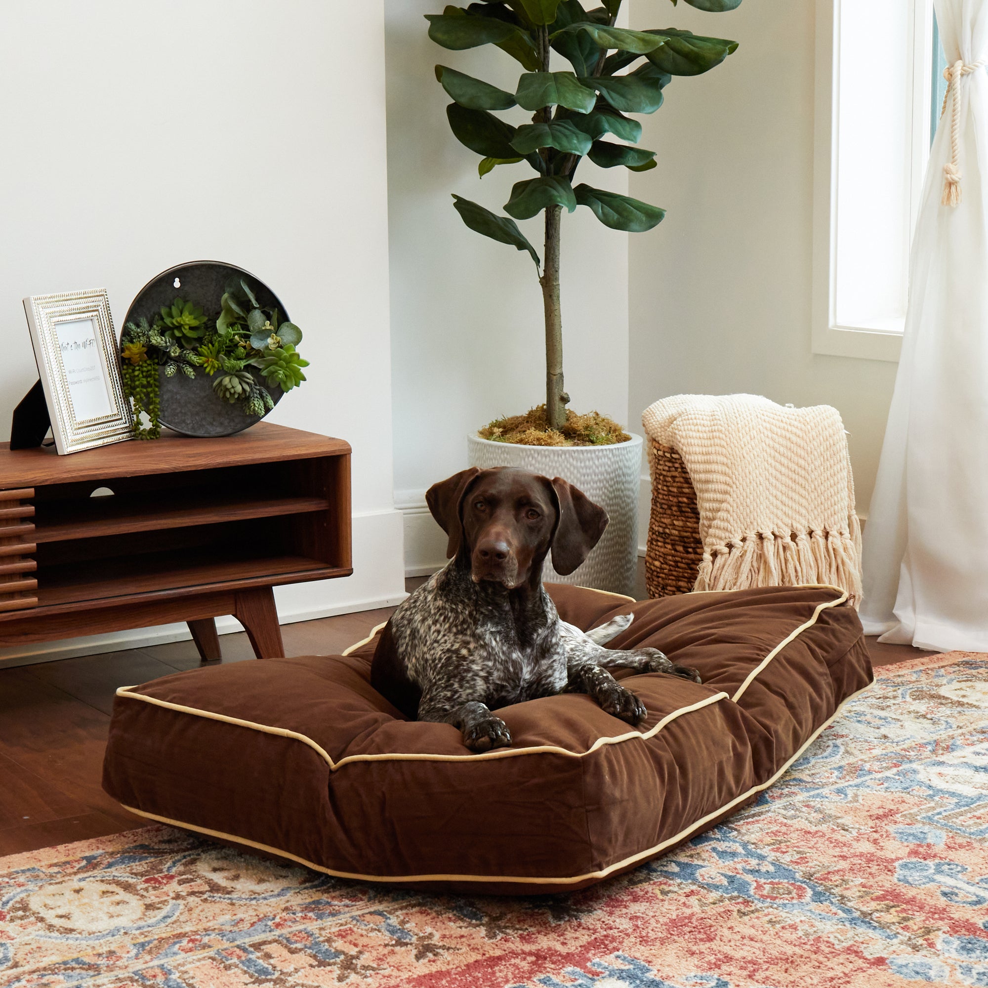 Microfiber dog outlet bed