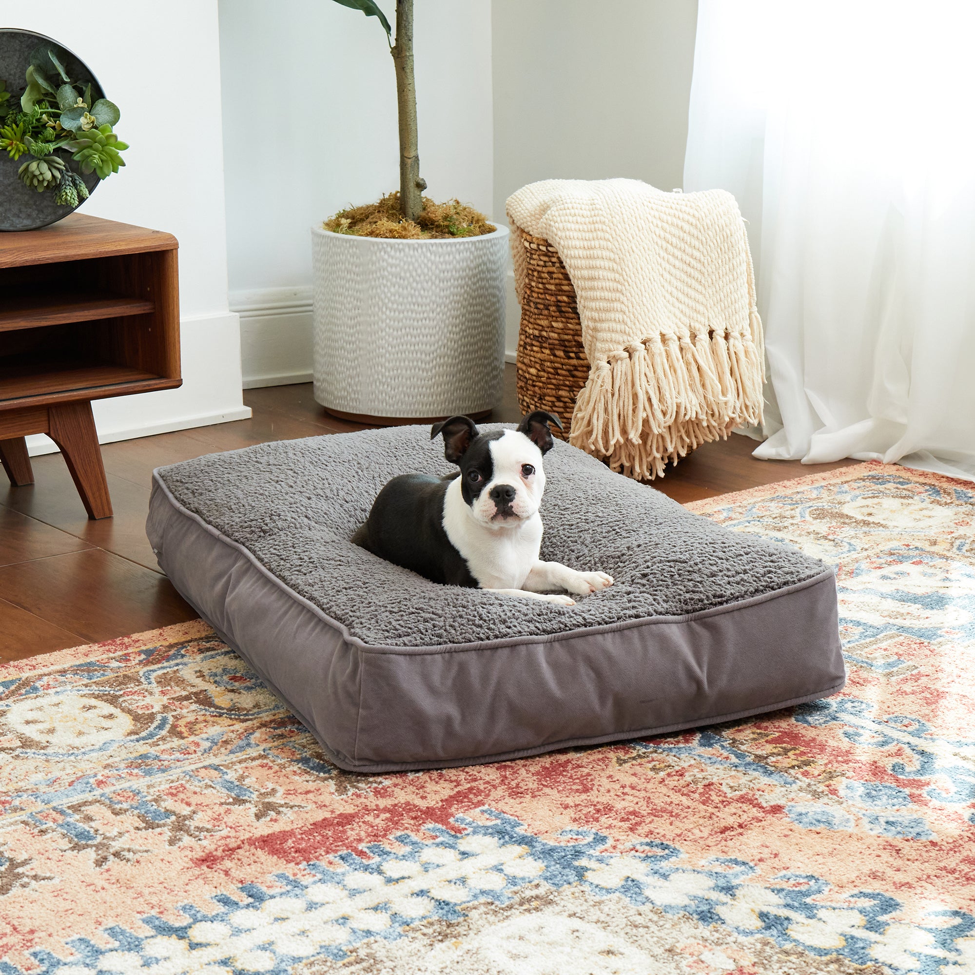 Happy hounds deluxe shop buster dog bed