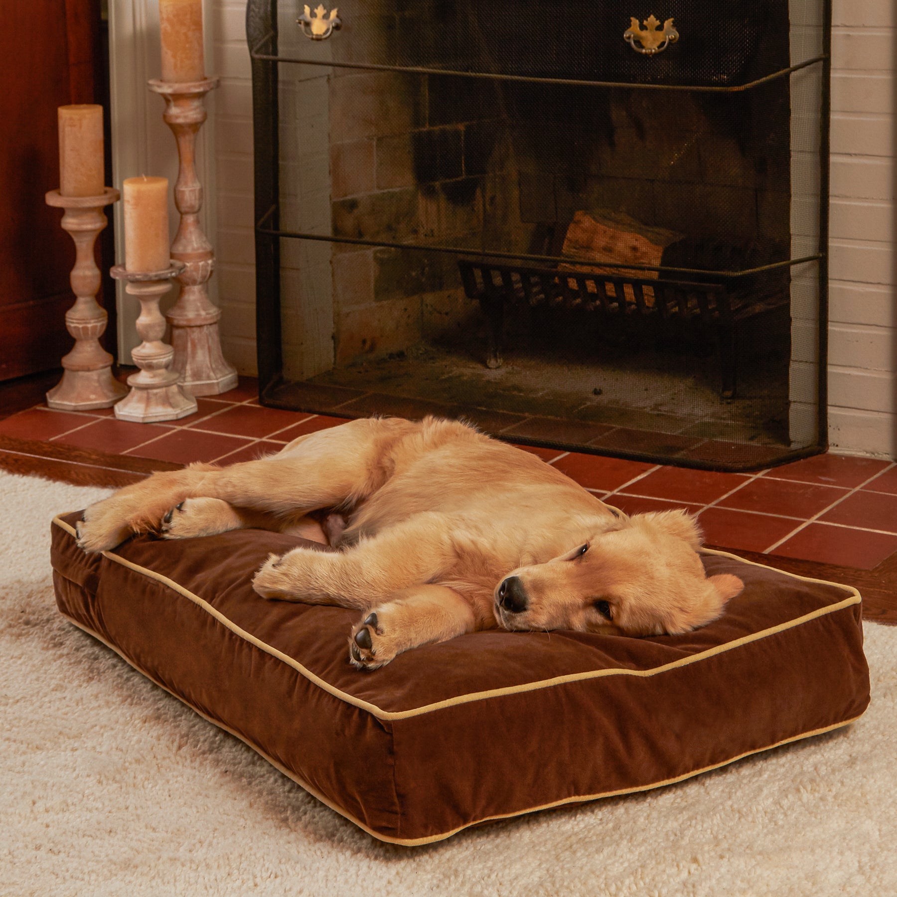 36x24 best sale dog bed