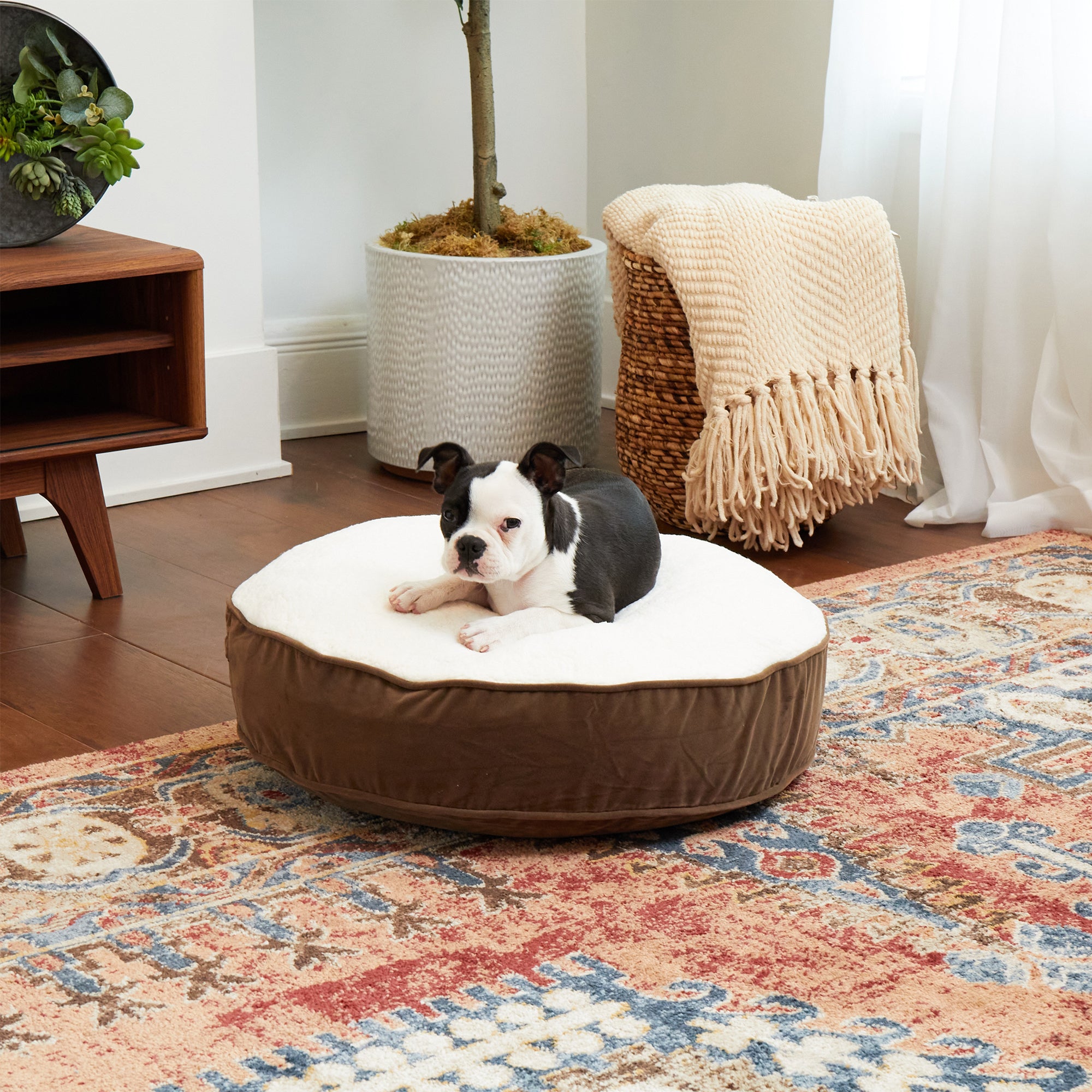 Happy hounds deluxe buster dog bed best sale