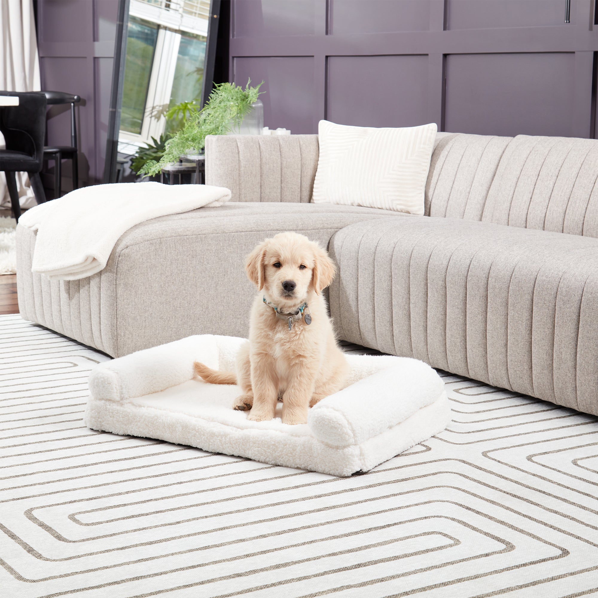 Dog bed outlet sherpa