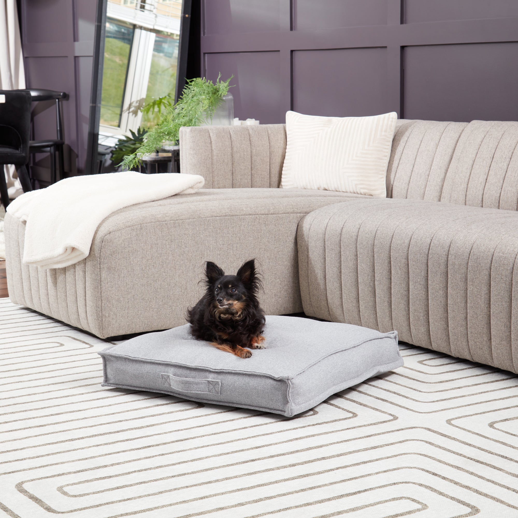 Tufted on sale dog sofa