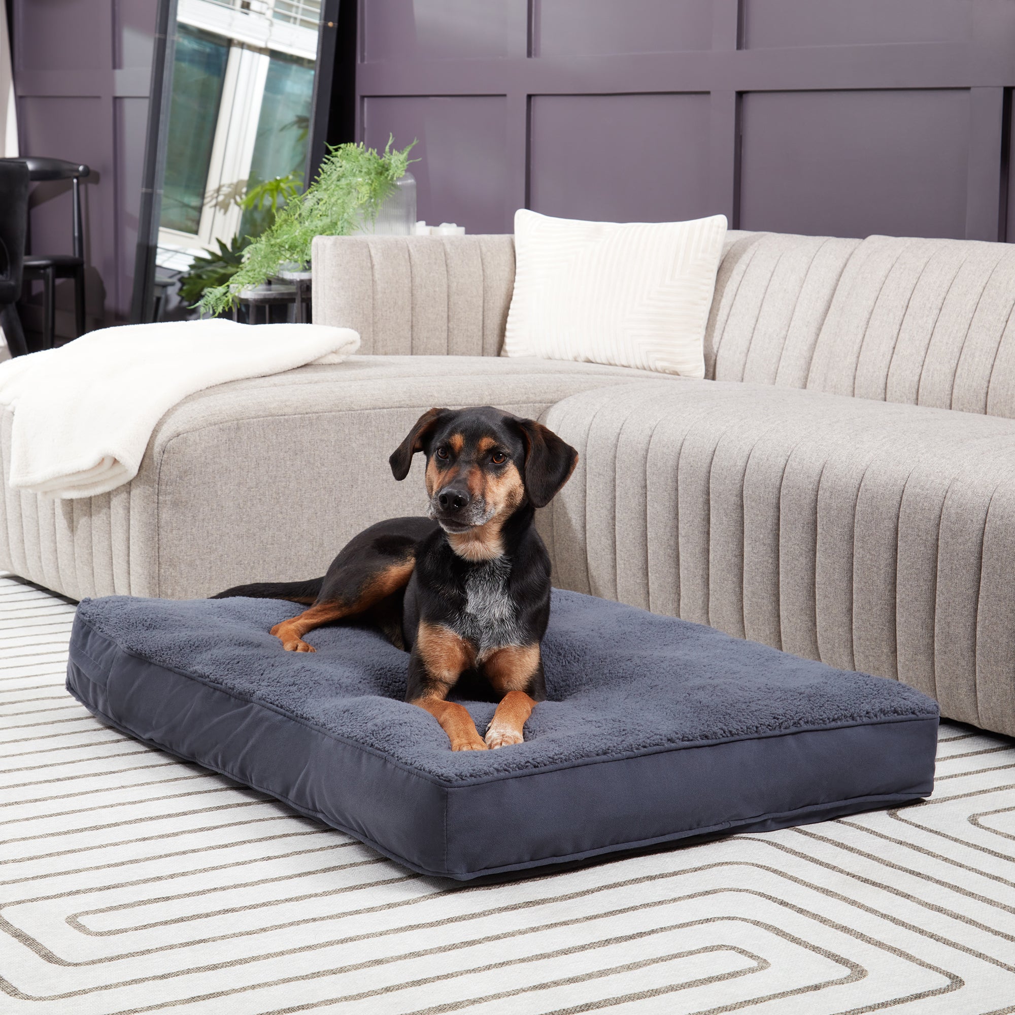 Supportive on sale dog bed